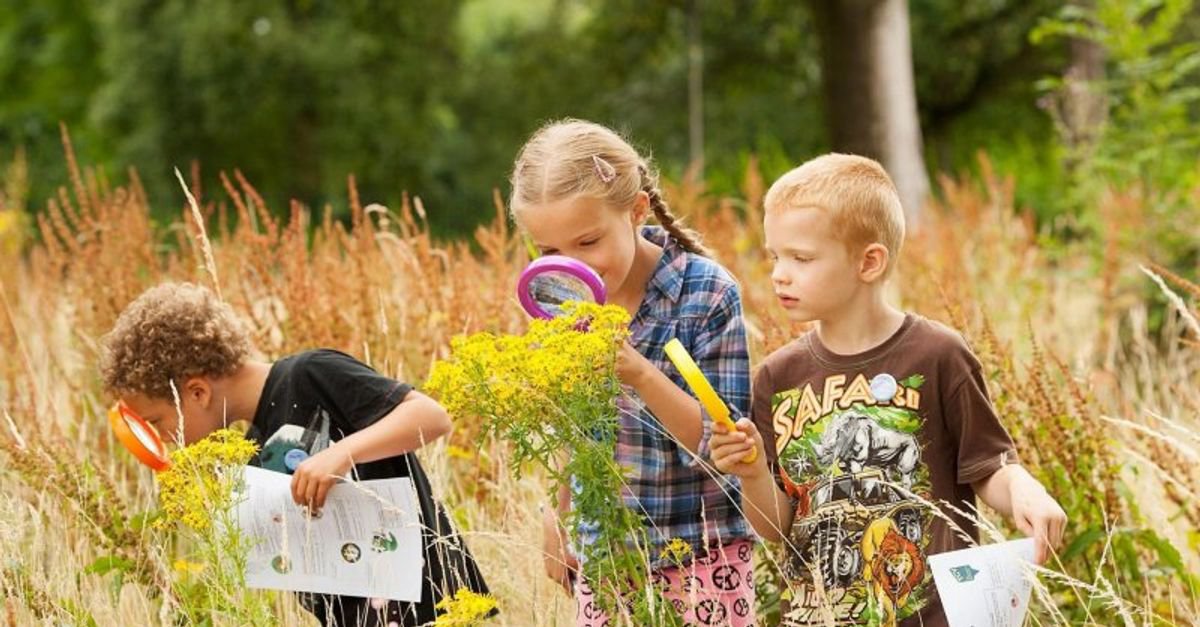 Activities with kids in nature